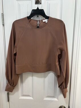 Prologue Mauve-Brown Cropped Balloon-Sleeve Top